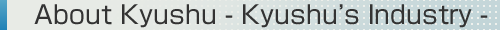 About Kyushu Business Environment in Kyushu